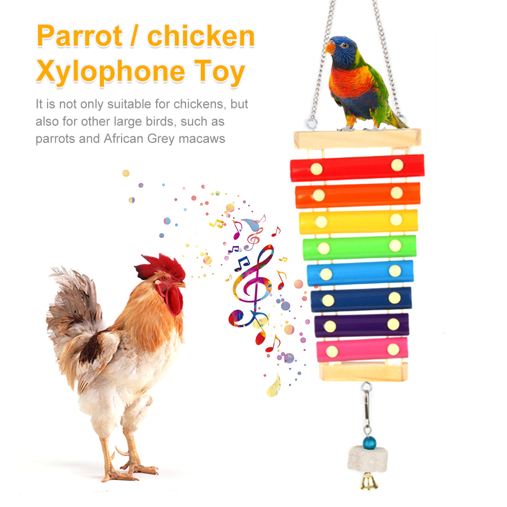 Xilófono de pollo para pájaros - Musical Instrument Harmonium reseña y precio